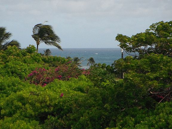View of the ocean.