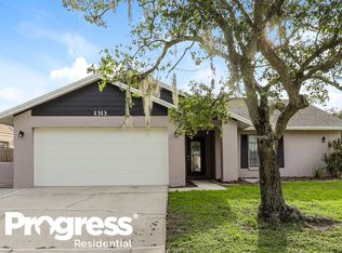 1313 Peachfield Dr, Valrico, FL 33596