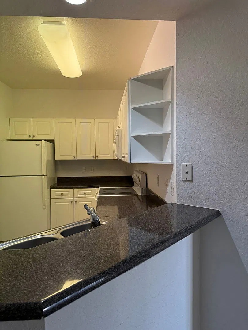 Palm Estates — Photo 4