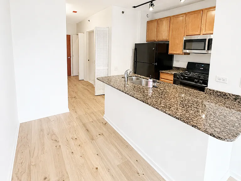 210 S Desplaines St #1006 — Photo 2