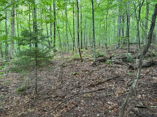 0 Under the Mountain Road, Londonderry, VT 05155