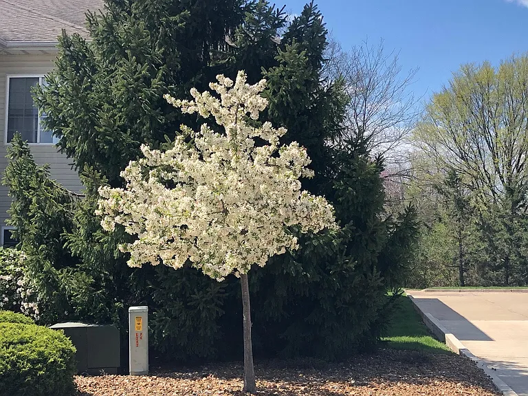 1100 Kennesaw Ridge Rd #1008 — Photo 20