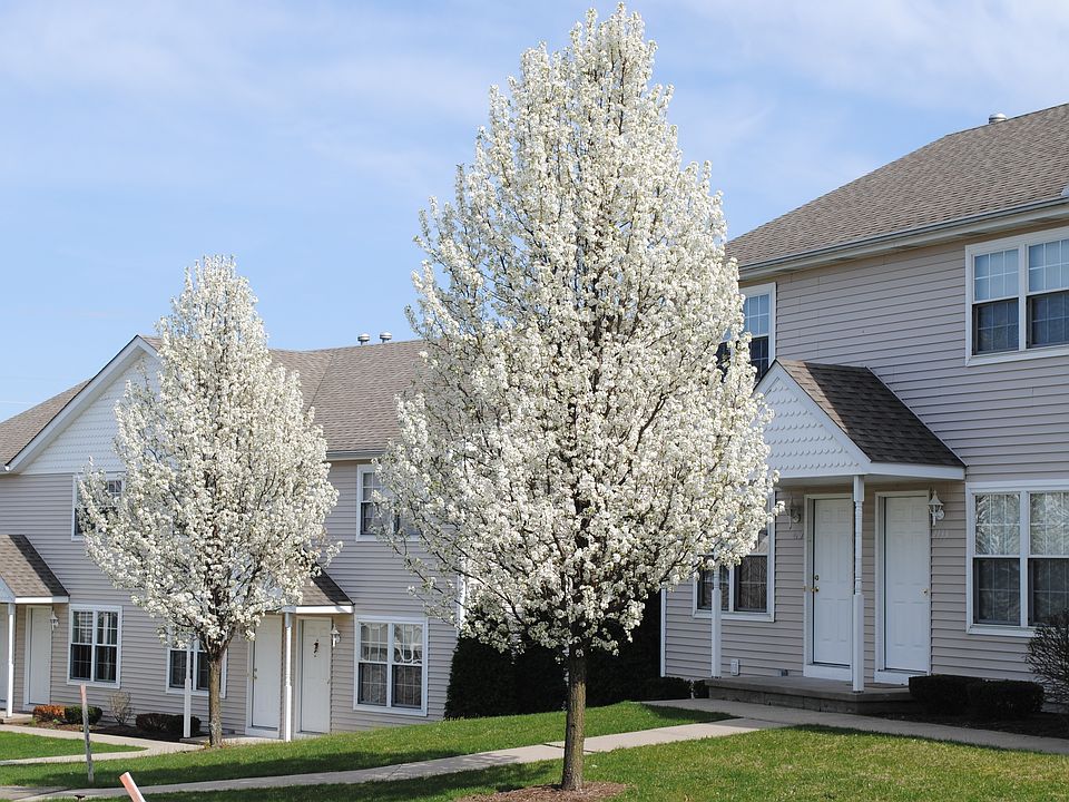 2nd image of 2263 Pinnacle Ct