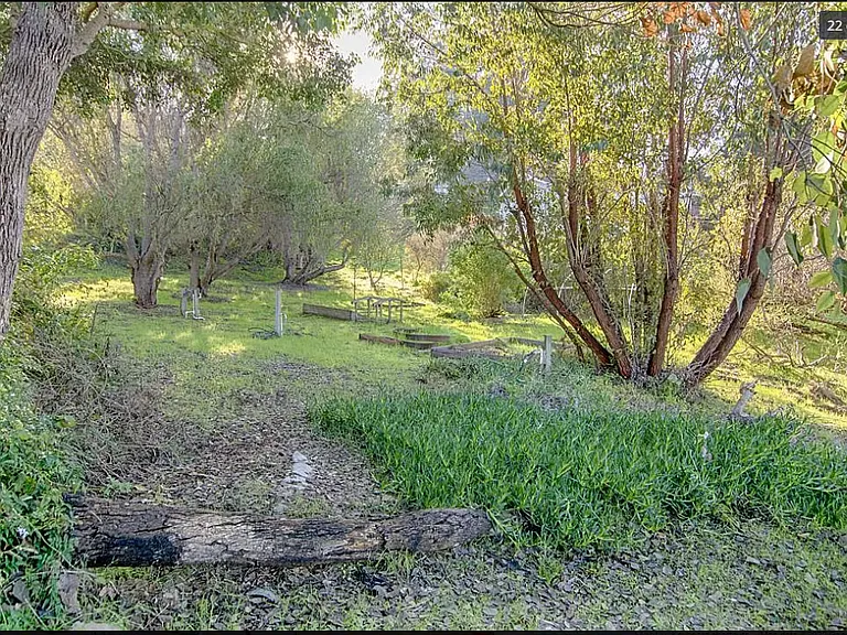 3525 Viola Dr — Photo 2