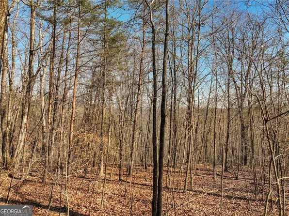 9 Mount Mincie Rd, Murrayville, GA 30564