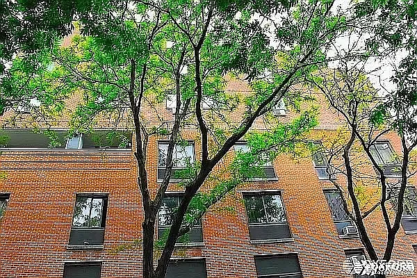 Rented by Oxford Property Group | media 41