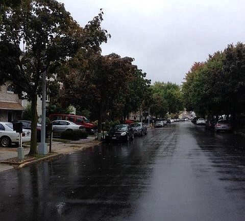 5th image of 119 Gauldy Ave