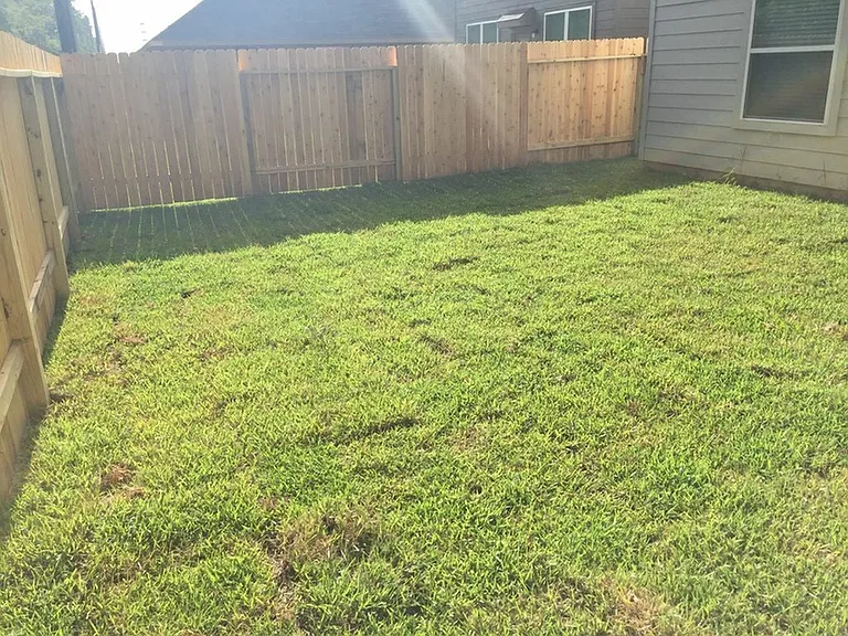 Pia Dr — Photo 15