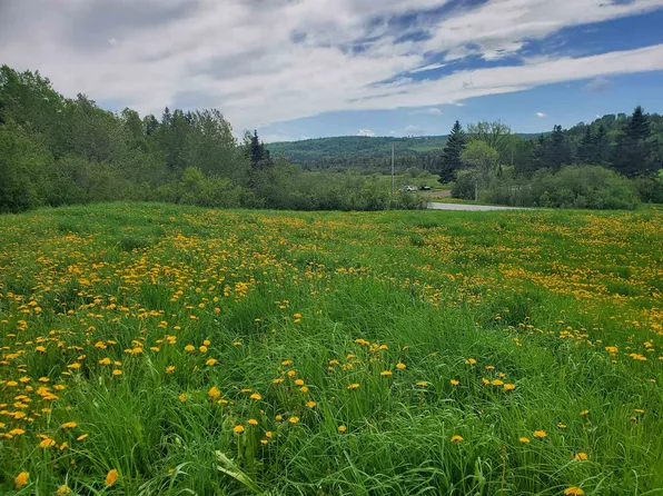 0 VT Route 15, Walden, VT 05873