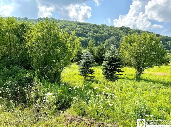 0 Five Mile Rd #64, Allegany, NY 14706