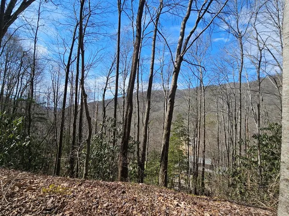 16 Warrior Way #16, Andrews, NC 28901