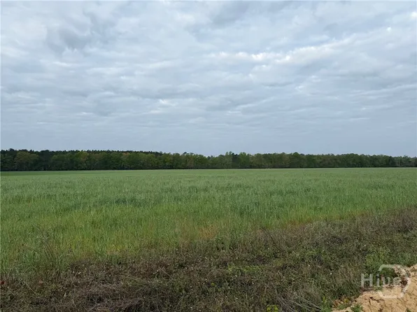 02 SPRINGFIELD EGYPT Road, Springfield, GA 31329