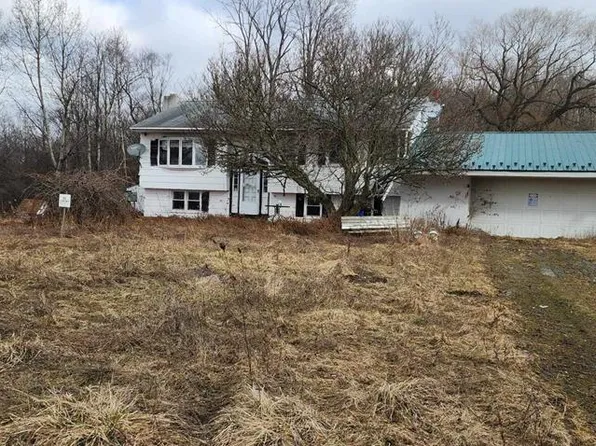 5058 Barrett Rd, Cameron, NY 14819