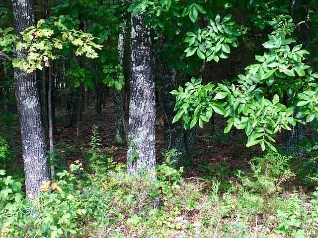 1st image of 0 Silver Spur Ln