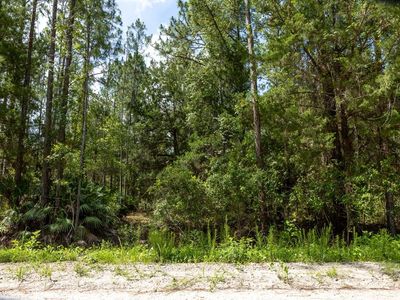 5661 Ironwood Ave #3, Bunnell, FL, 32110