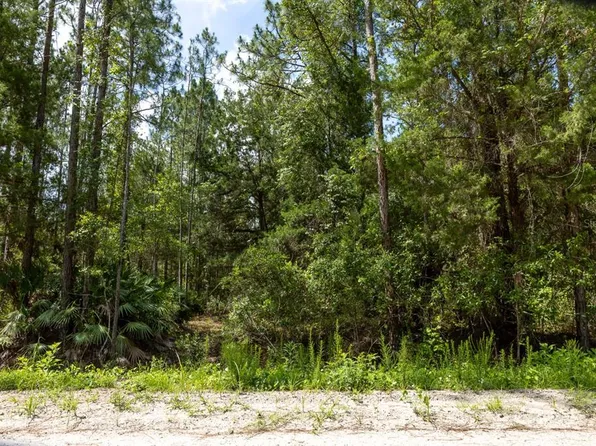 5661 Ironwood Ave #3, Bunnell, FL 32110