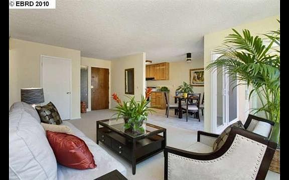 living room now has parkay floors