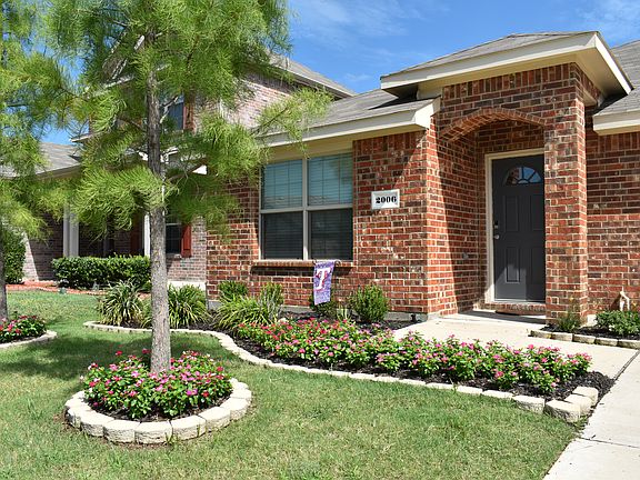 New door and flowerbed