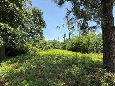 5 Caladium Ct, Hilton Head Island, SC, 29926
