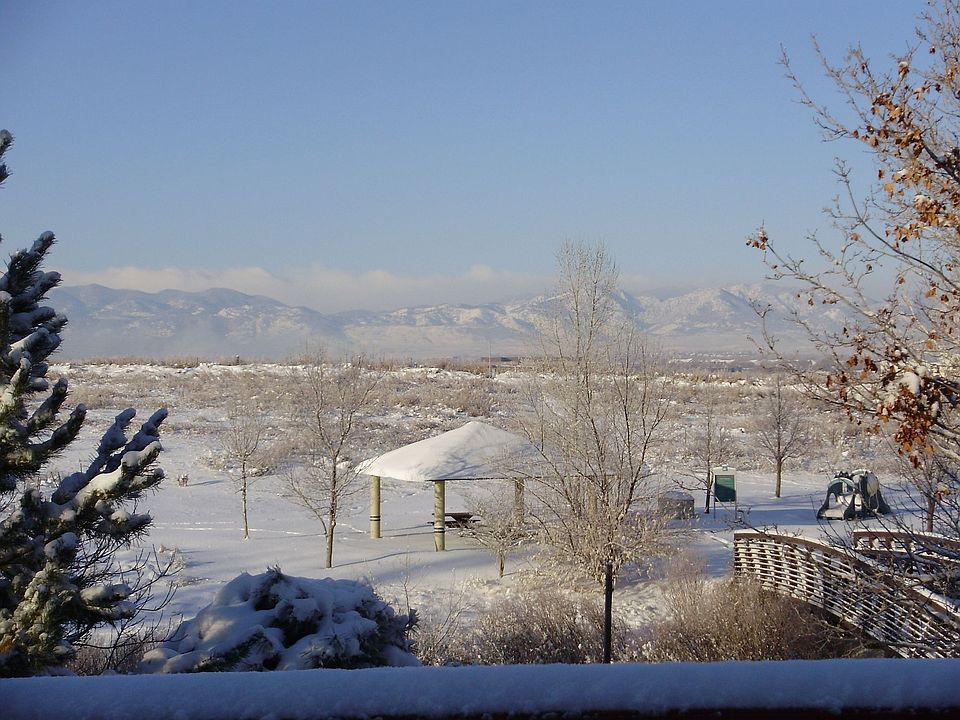 Back deck view