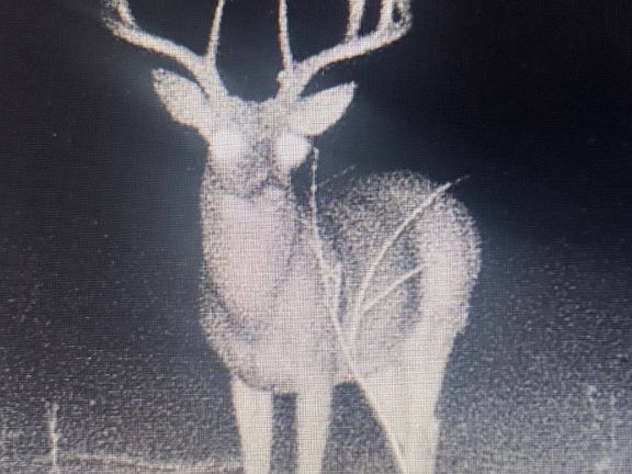 5th image of TRACT One N 4225 Rd