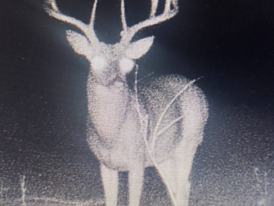 1st image of TRACT Three N 4225 Rd