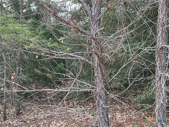 4th image of Pine Hill Loop