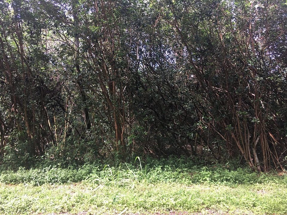 1st image of 18th Ave Lot 128