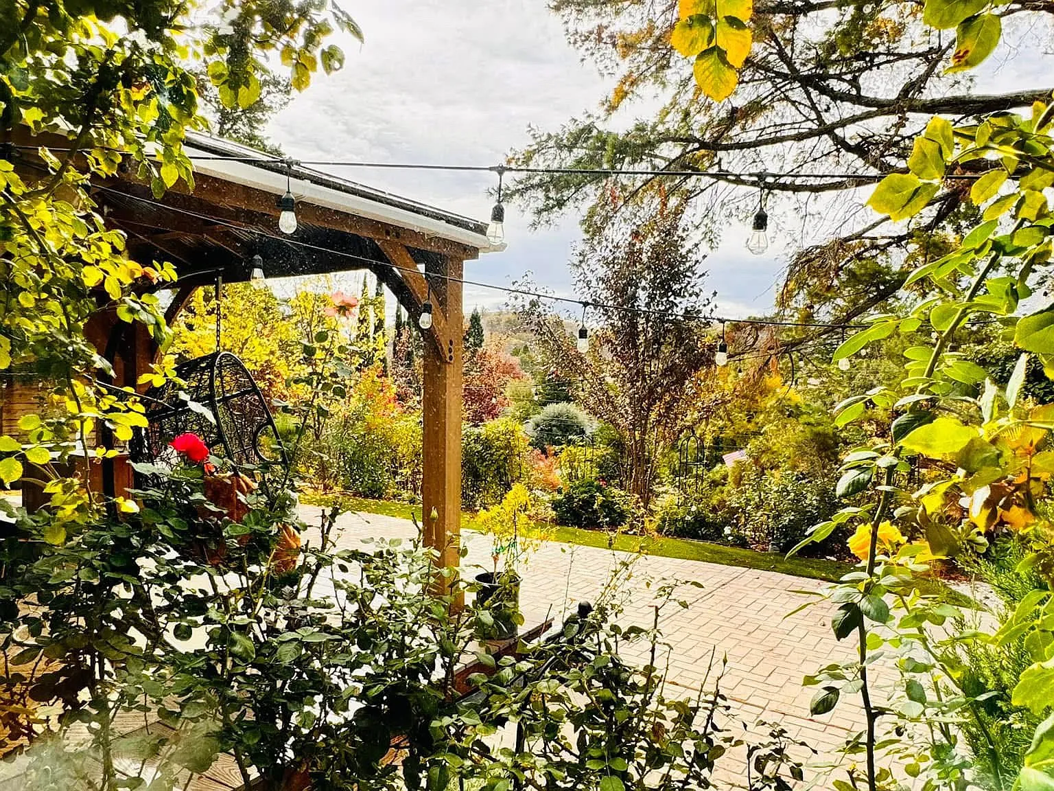 La Vista Rd, Walnut Creek — Photo 3