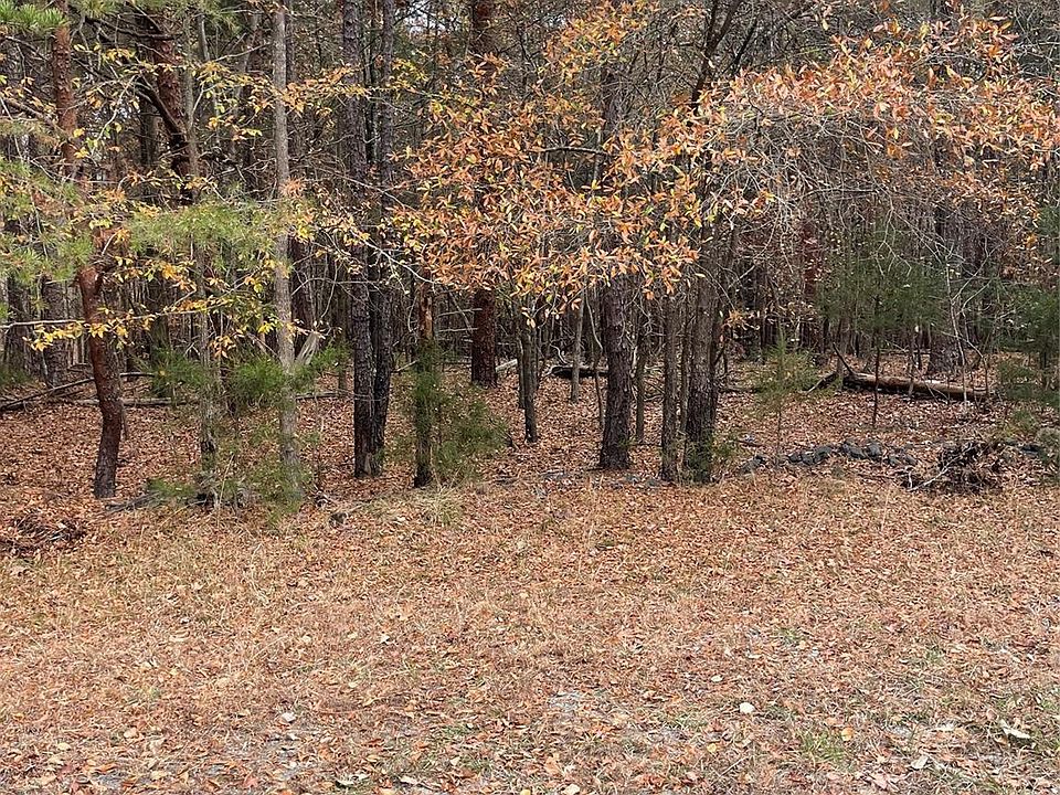 2nd image of 10505 Nugget Place Rd