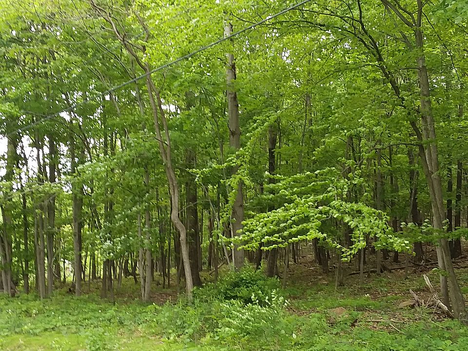 2nd image of Rainsburg Mountain Rd