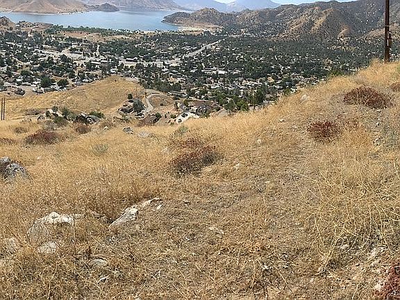 2nd image of Bristlecone Dr