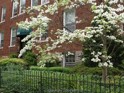 3039 Macomb St NW APT 10, Washington, DC, 20008