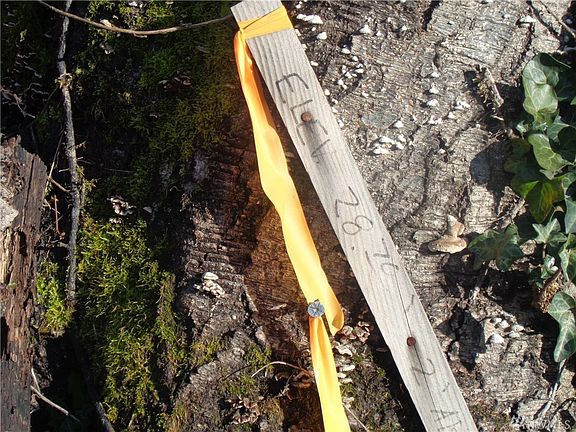 3rd image of 639 Old Pacific Hwy SE