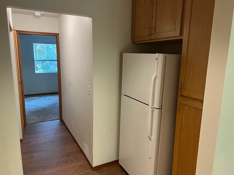 kitchen fridge has icemaker & pantry