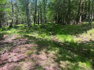 95 Old Tacy Rd, Swan Lake, NY 12783