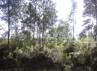 8th Ave LOT 1945, Keaau, HI 96749