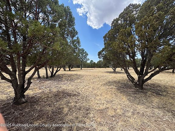 4th image of LOT 39A-1A Lincoln Hills Dr