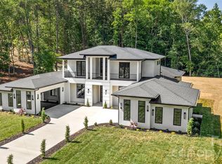 11220 Aubrey Elena Ct, Davidson, NC 28036