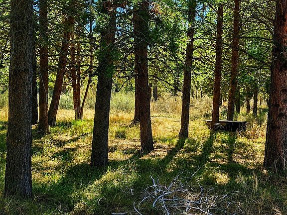 5th image of 0 Moccasin Ln
