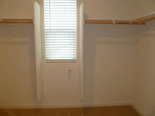 Timber Bridge Pl — Photo 15