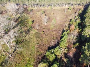 10 N County Line Rd, Elko, GA 31025