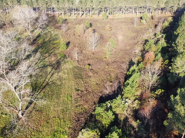 10 N County Line Rd, Elko, GA 31025