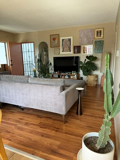 2 bed, 990 sqft, $2,695 — Photo 3