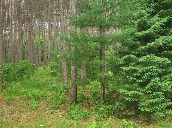 Evergreen East Dr #100, Waupaca, WI 54981