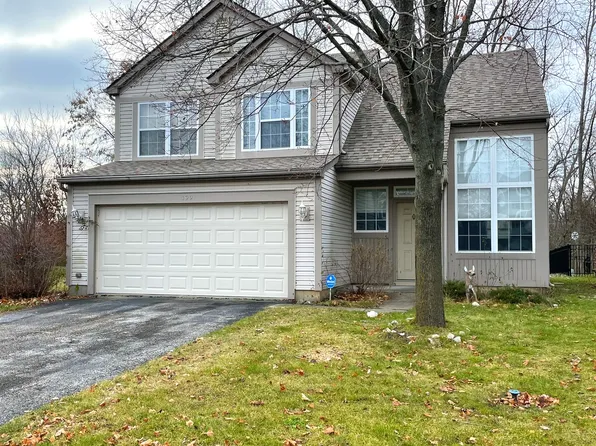 199 E Big Horn Dr, Hainesville, IL 60030