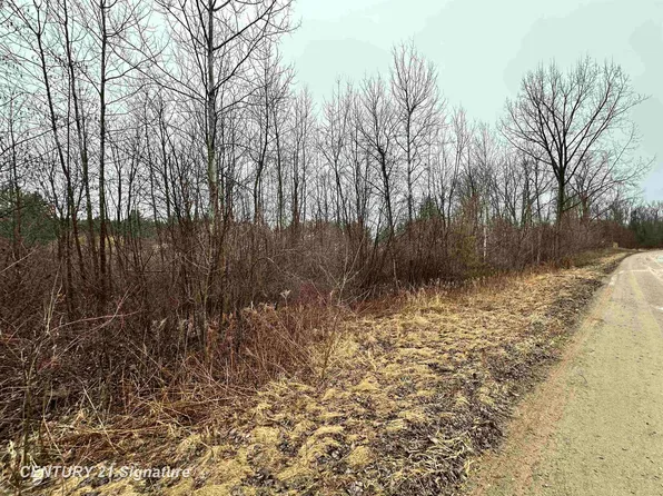 4019 Bay Ave, Beaverton, MI 48612