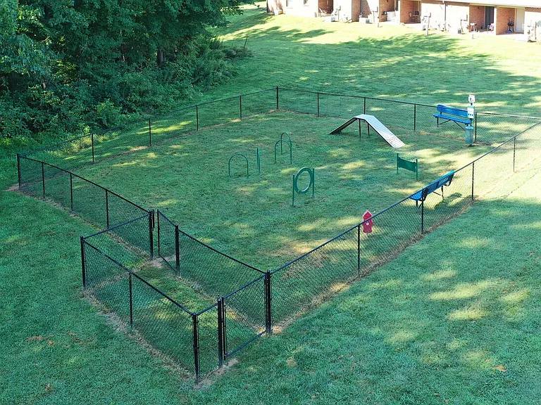 Dog Park