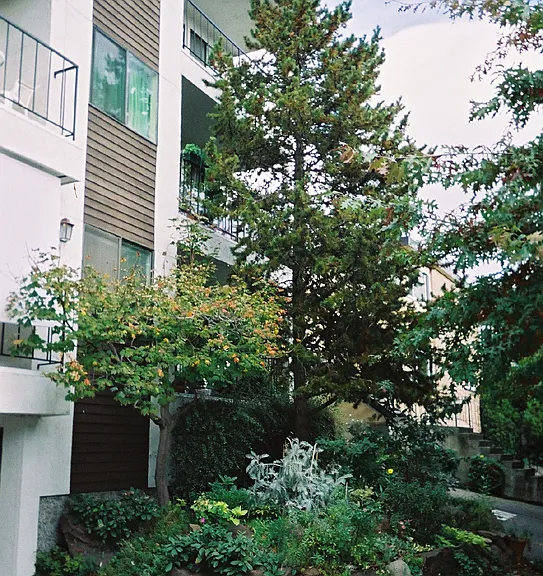Trondheim Apartments — Photo 7