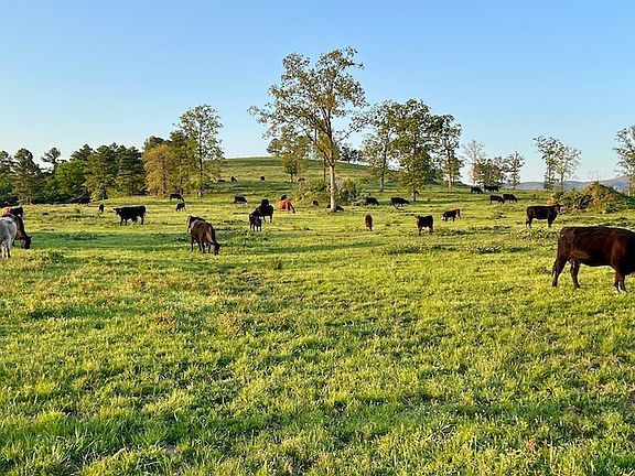 5th image of Ogden Mills Rd